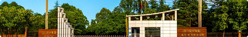 flag-pic1
